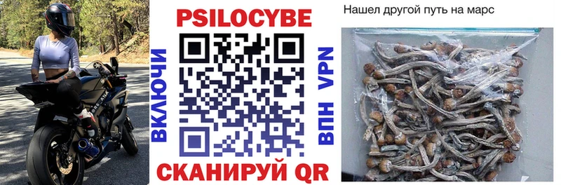Псилоцибиновые грибы мухоморы  Гвардейск 